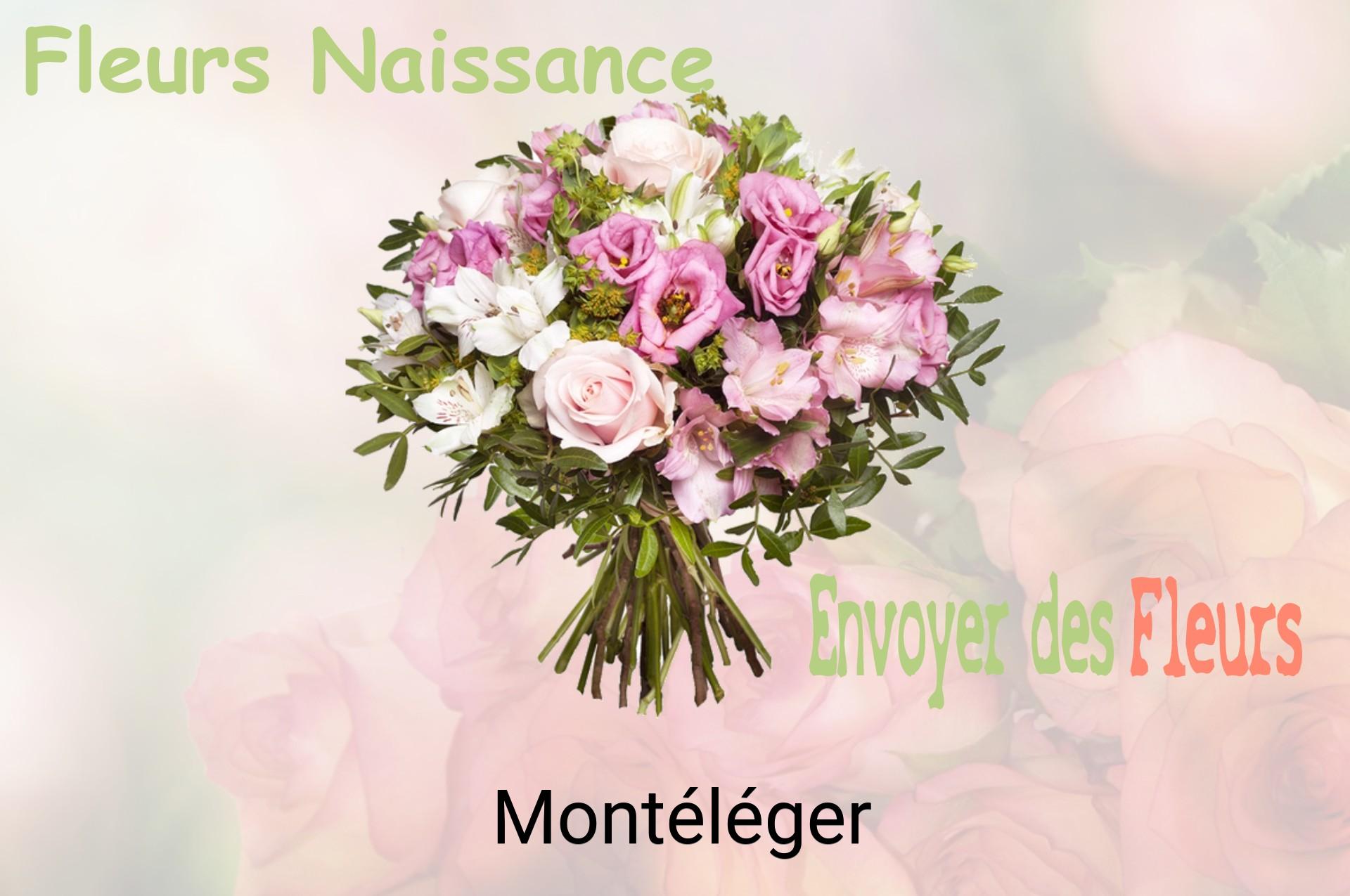 Bouquet de fleurs de naissance livré à Montéléger
